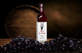 Merlot Siyah Üzüm Sirkesi(500ML)