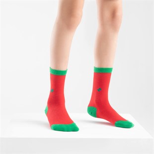 Koku Yapmayan Soket Erkek Çocuk Kırmızı Yeşil Gümüş Çorap
