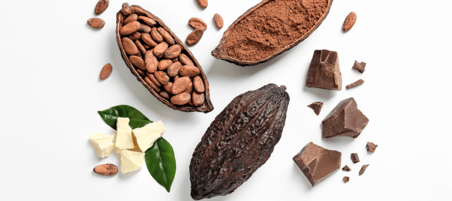 Çikolatanın tarihi