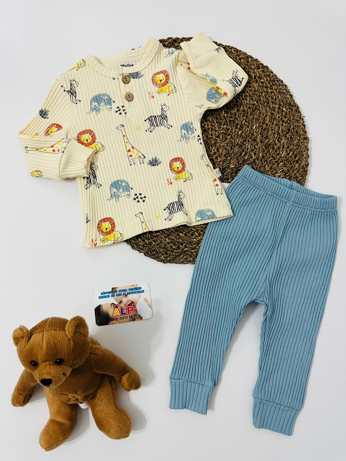 Hayvanlar Alemi Fitilli 2 Parça Kışlık Set Erkek Takım Mavi