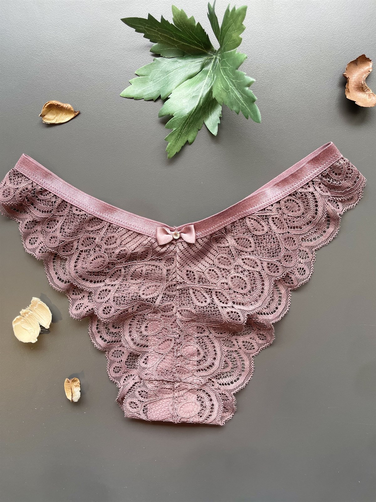 Kadın Pudra Dantelli Külot (4550)