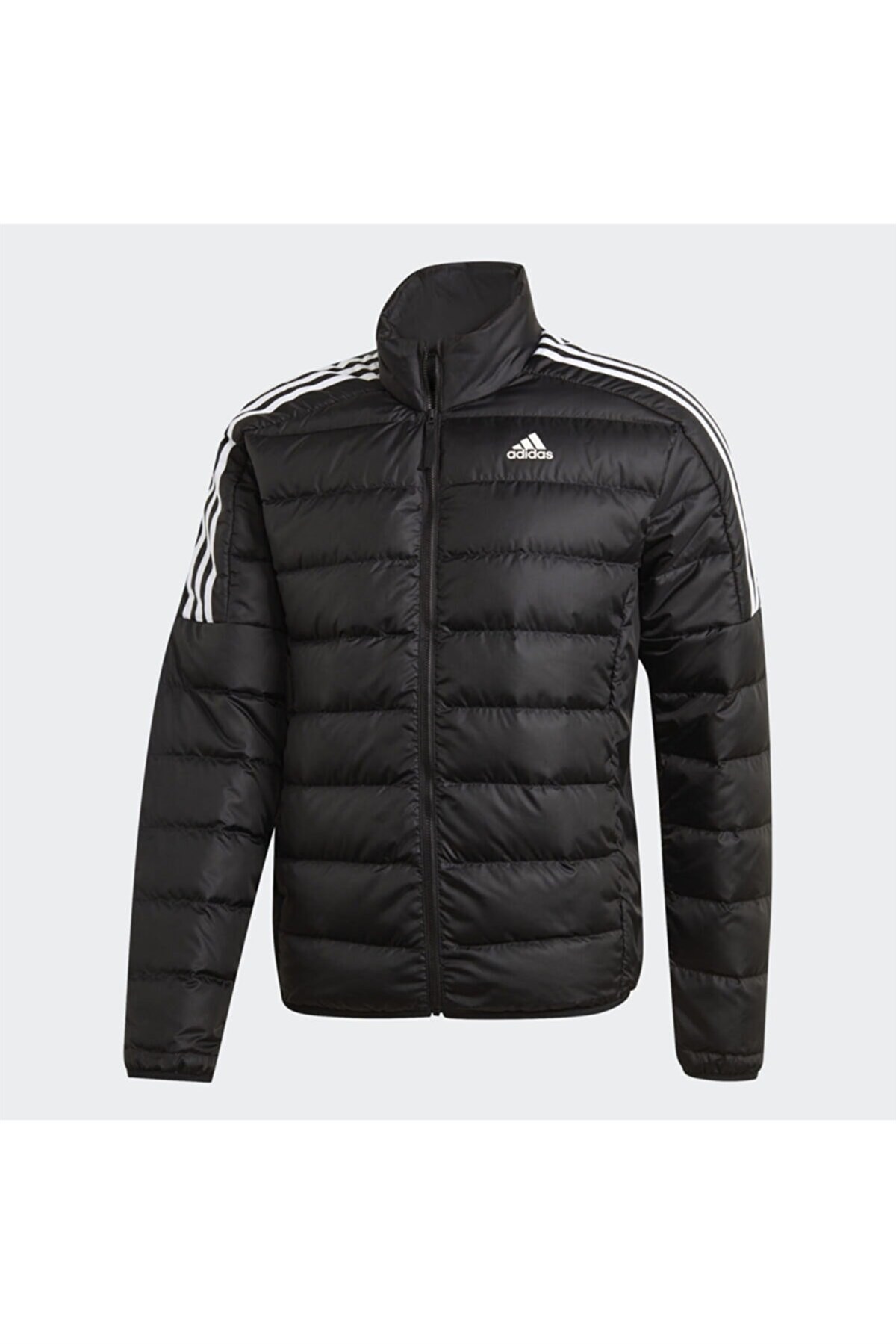 Adidas performance best sale winter jacket