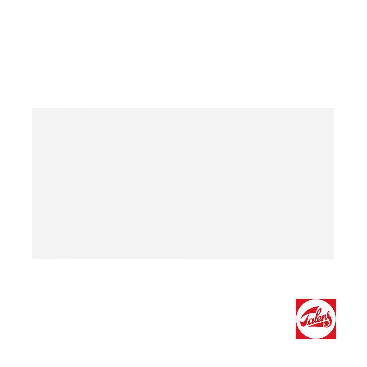 Amsterdam Expert Serisi Akrilik Boya 400ml Zinc White