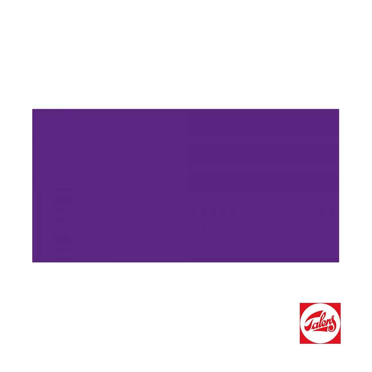 Amsterdam Expert Serisi Akrilik Boya 400ml Permanent Blue Violet Seri 2