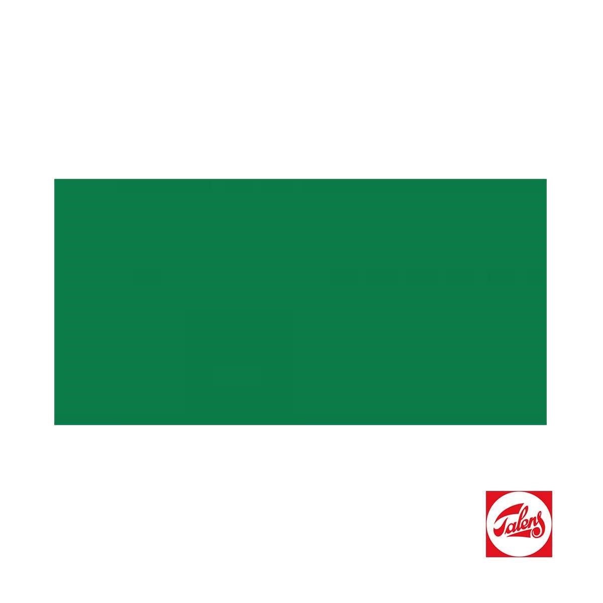Talens Amsterdam Akrilik Boya 120 ml Emerald Green RT17096152