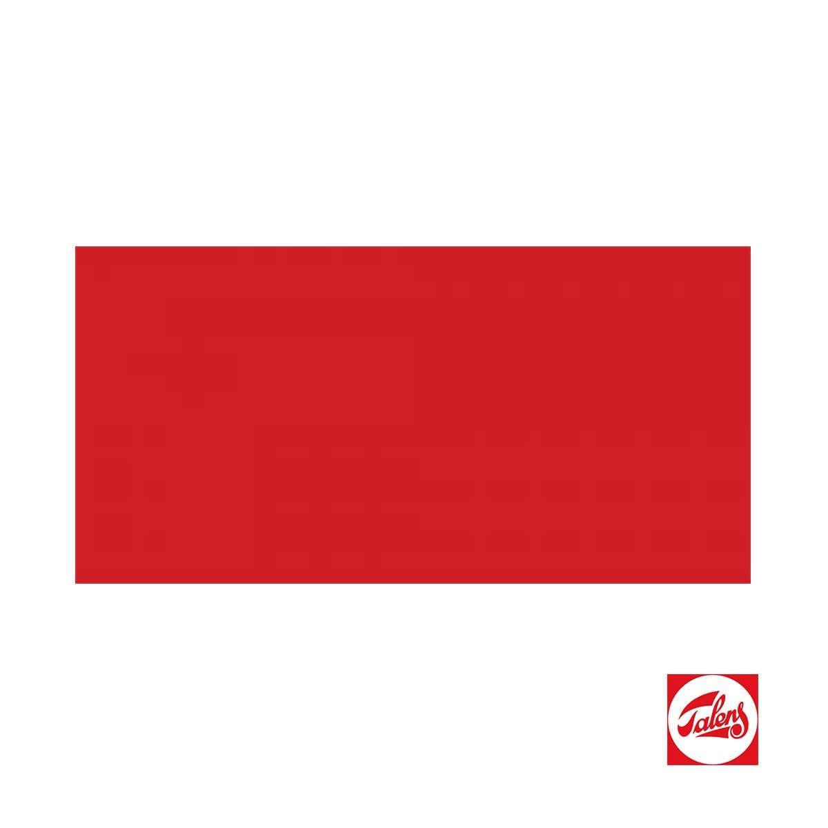 Talens Amsterdam Akrilik Boya 120 ml Pyrrole Red RT17093152