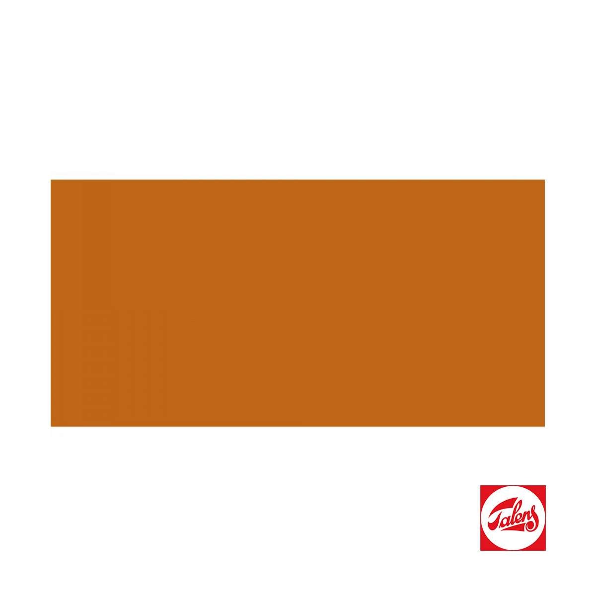 Amsterdam Expert Serisi Akrilik Boya 400ml Yellow Ochre Seri 1