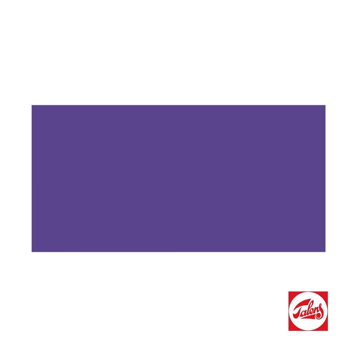 Amsterdam Expert Serisi Akrilik Boya 400ml Permanent Blue Violet Opaque Seri 2