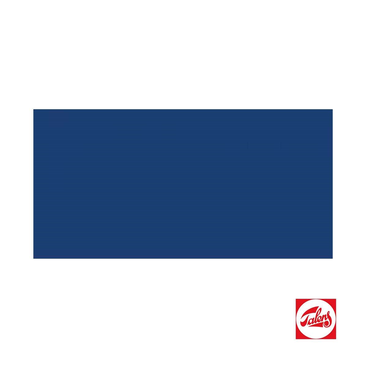 Talens Amsterdam Akrilik Boya 120 ml Ultramarine RT17095042