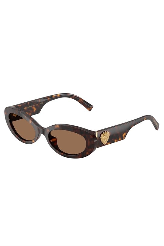 DG 4537 53 502/73 Dolce & Gabbana Kadın Güneş Gözlüğü