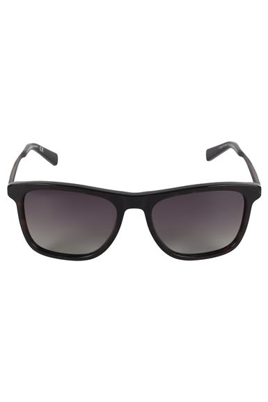 FR 1449 232P 28 Ferfarini Erkek Güneş Gözlüğü