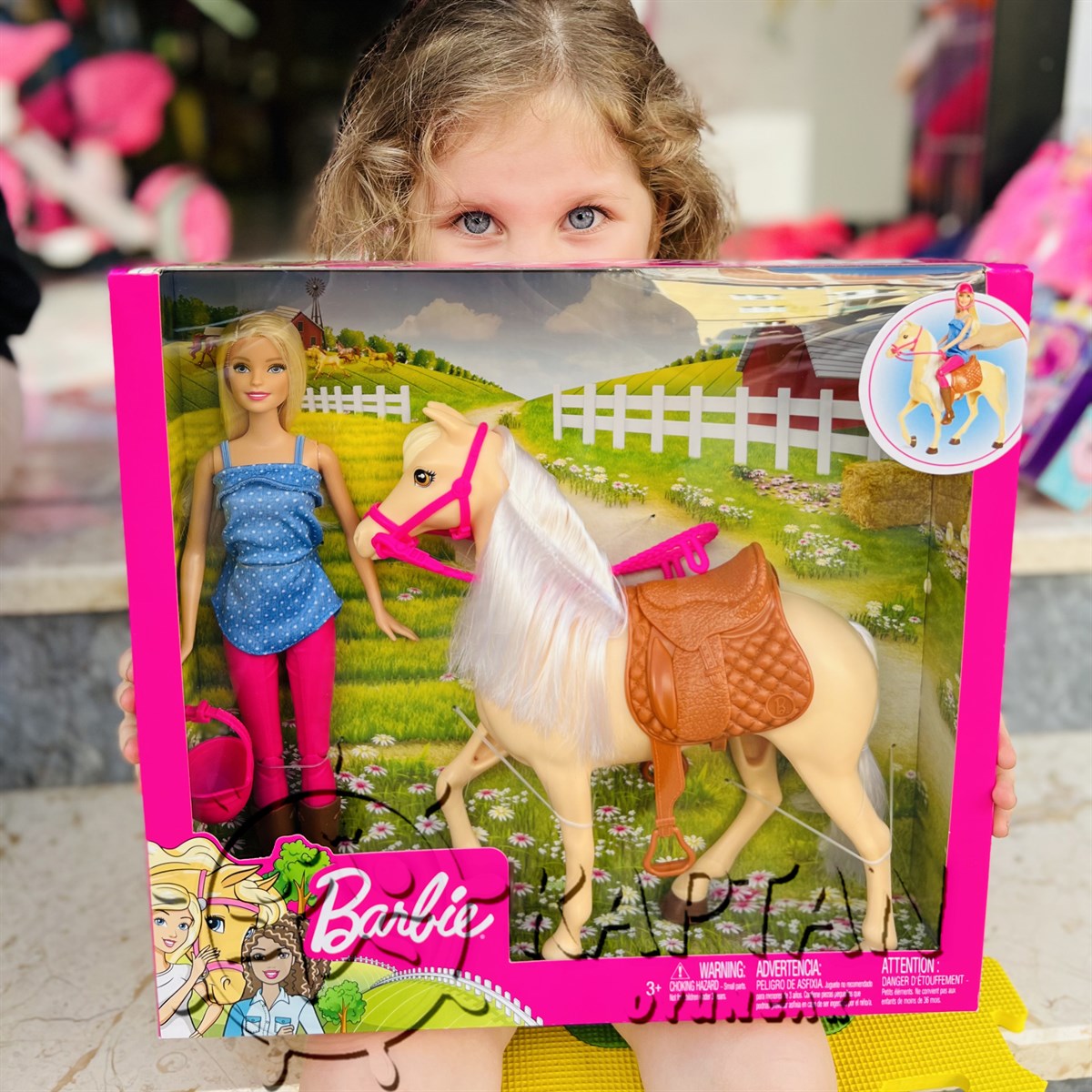 Barbie Bebek ve Güzel Atı Oyun Seti FXH13 - Kaptan Oyuncak