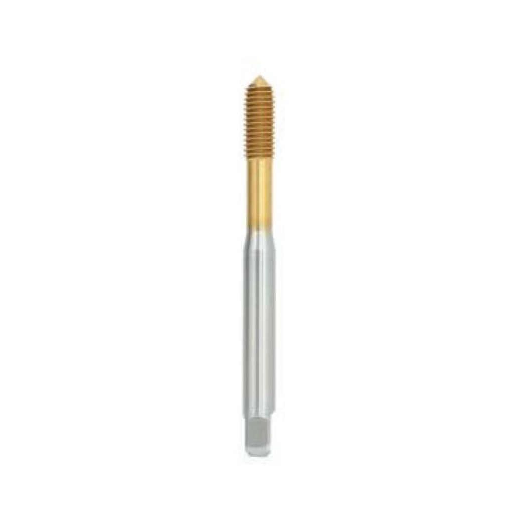 Mte M12x1,75 Straight Grooved Tin Coated Metric Fluteless Machine Tap without Oil Groove Form C HSS-E 6HX Din371