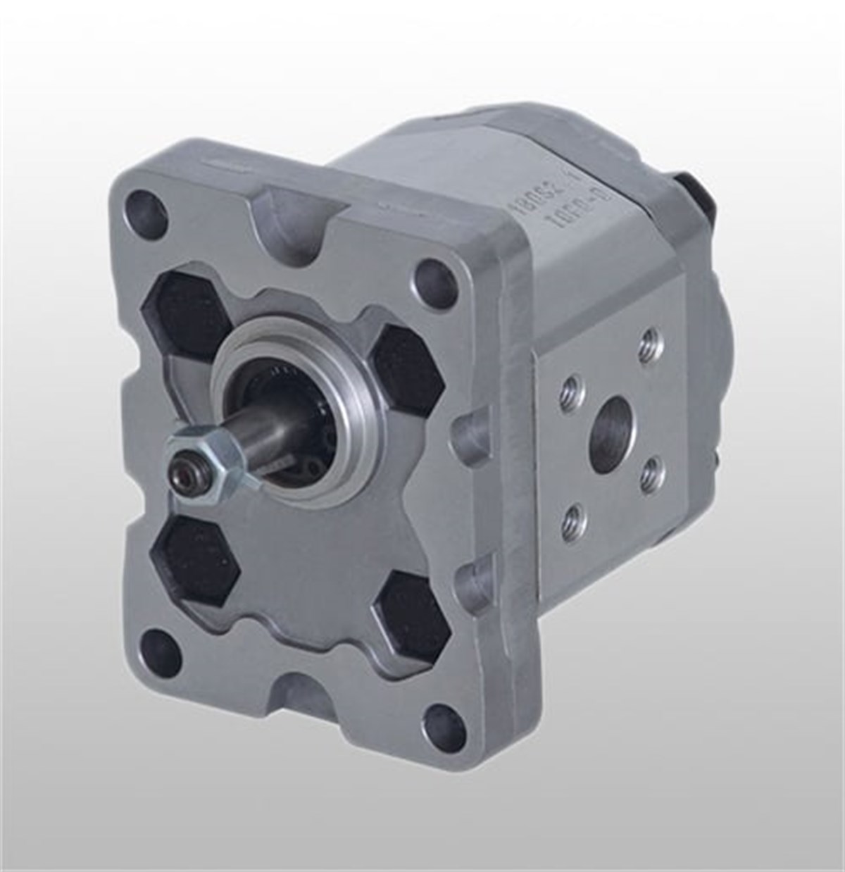 BKP1B0 SERİSİ DİŞLİ POMPALAR