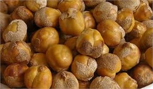 LEBLEBİ AĞIN