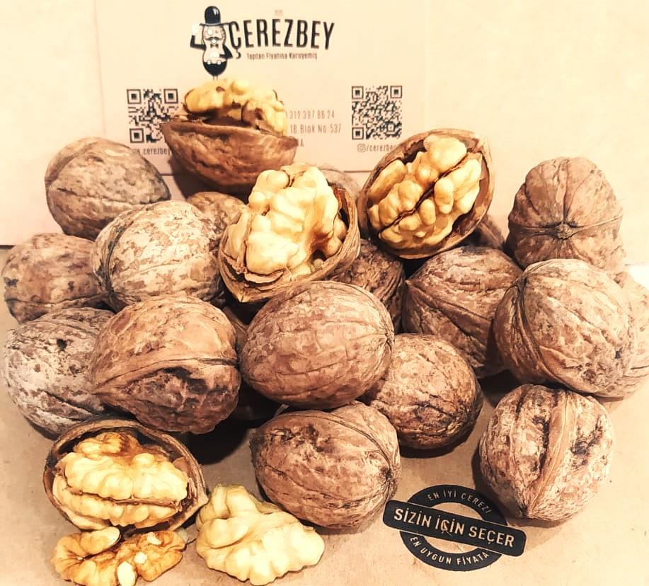 CEVİZ YERLİ  KABUKLU ( OĞUZLAR )
