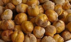 LEBLEBİ AĞIN