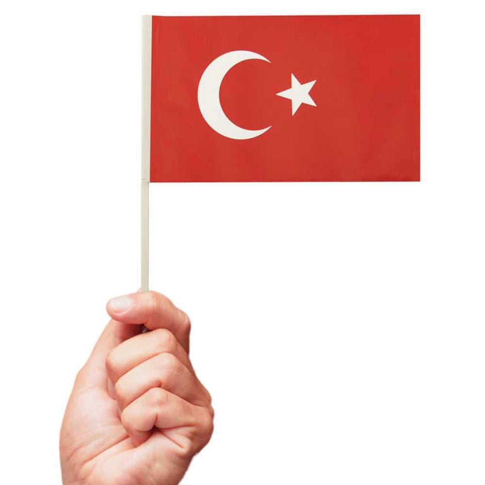 Ay Yıldız Çıtalı Bayrak 12x20 cm 10'lu