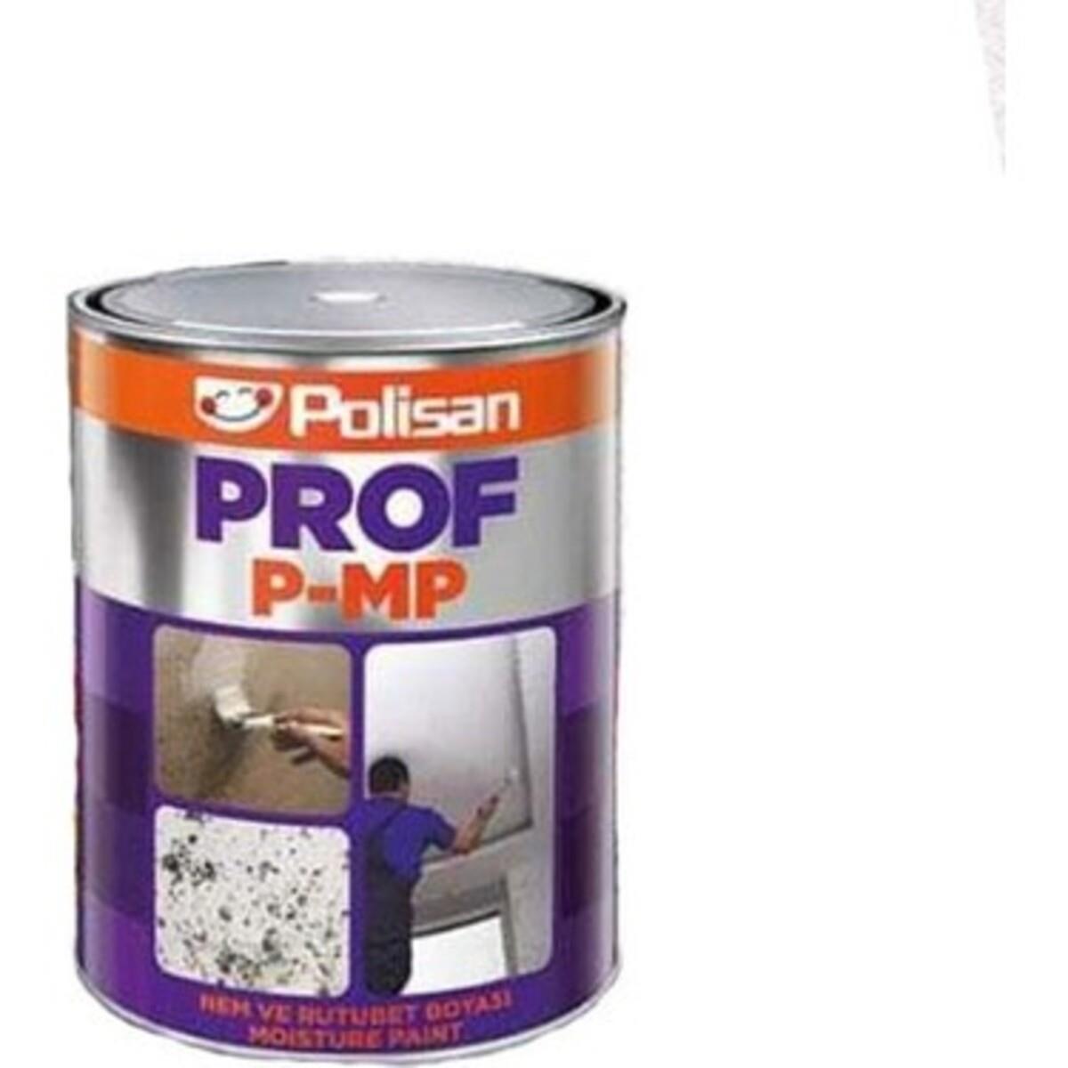 Polisan Prof Nem Boyası Kokusuz 5 Kg