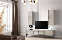 YILPA E956 PETEK TV SEHPASI UST MODUL