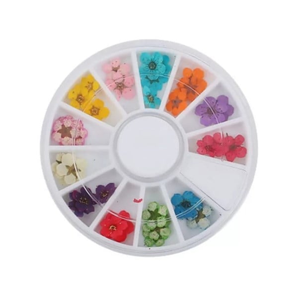 Nail Art kurutulmuş çiçek (teker) F626