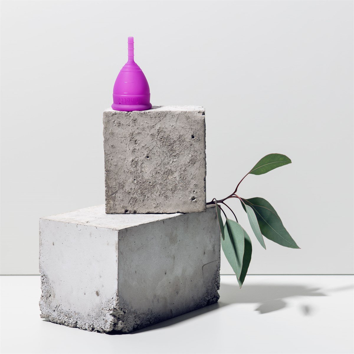 Adet Kabı Model 1 - Mor