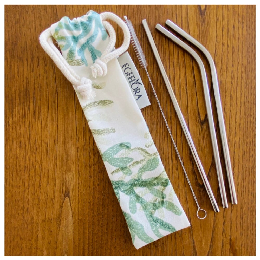 Paslanmaz Çelik Pipet Seti