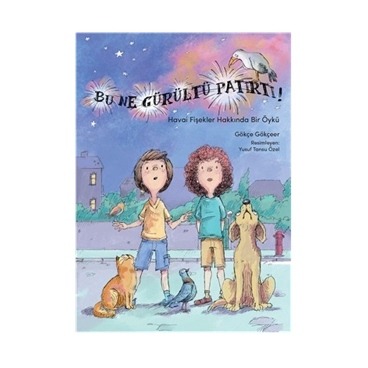 Bu Ne Gürültü Patırtı - Gökçe Gökçeer