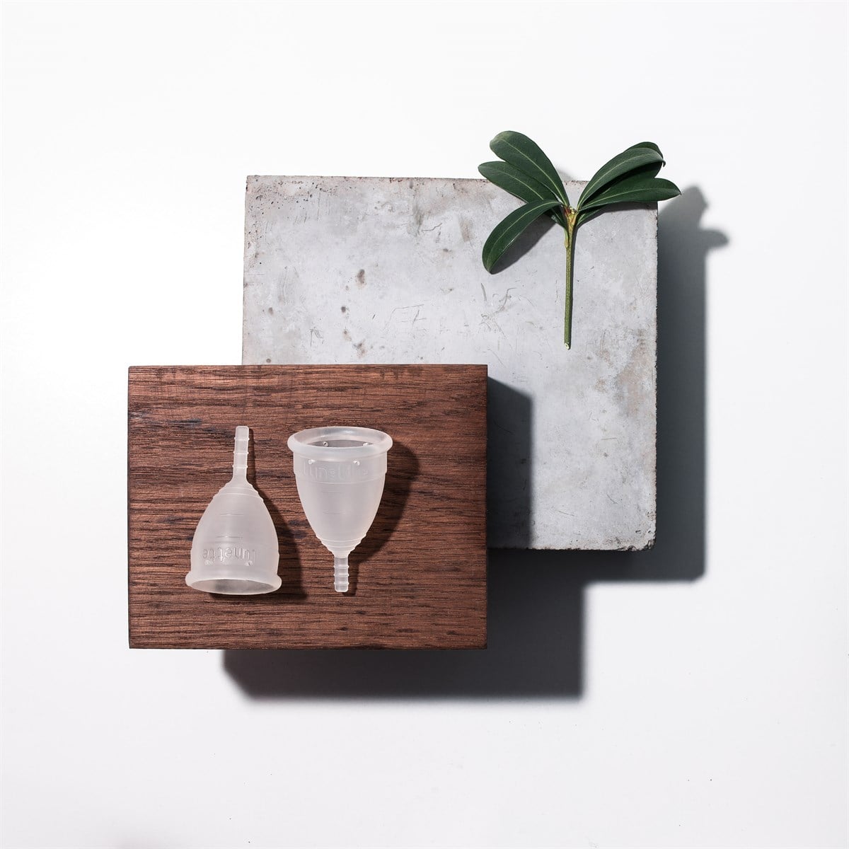 Adet Kabı Model 2 - Şeffaf