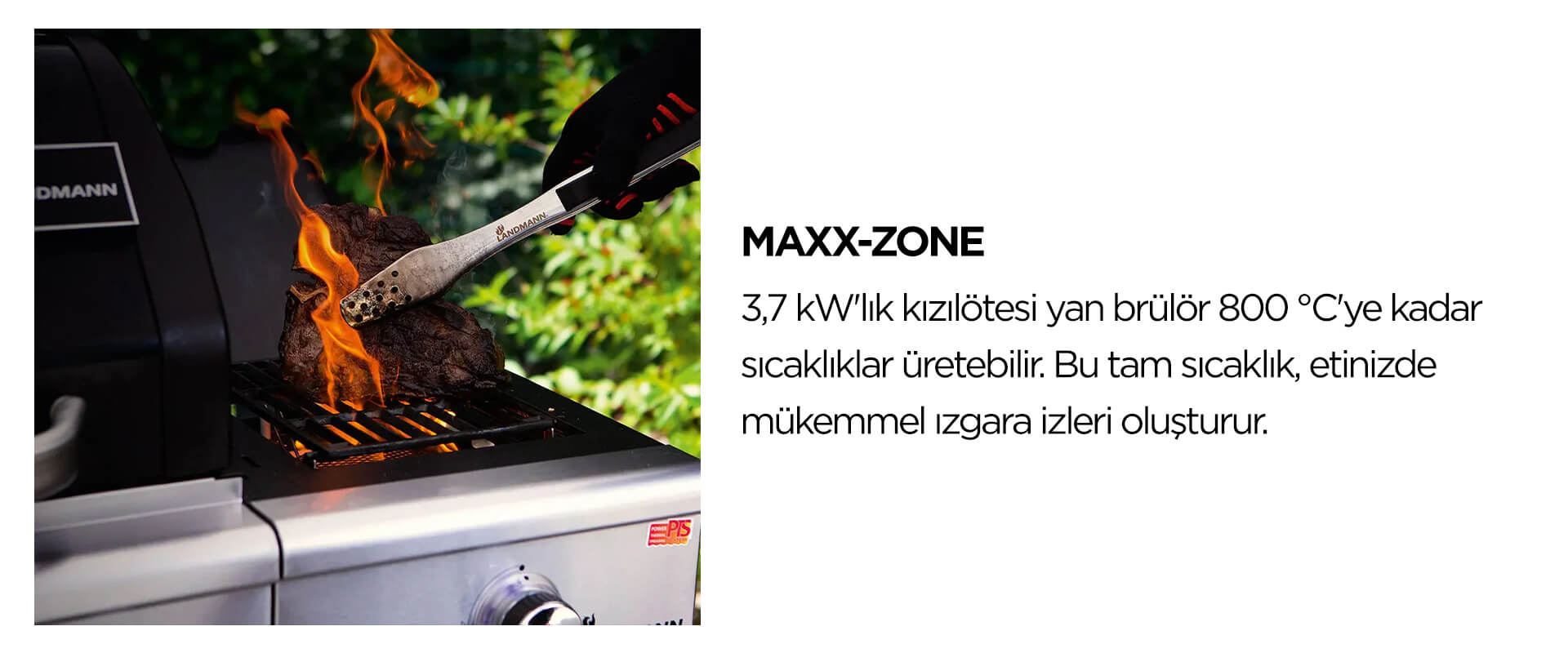 Maxx-Zone