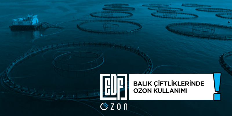Balık Çiftliklerinde Ozon Kullanımı