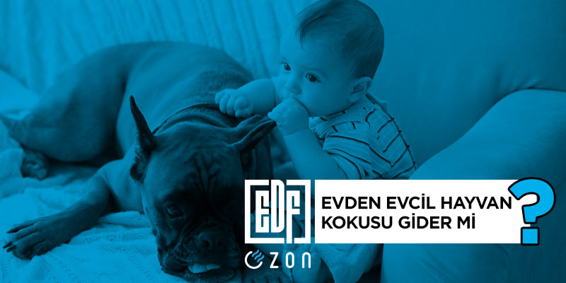 ozon jeneratörü, ozon makinesi, ozon makinası, ozon cihazı, edf ozon, dezenfeksiyon, kötü kokuları giderme, evcil hayvan kokusu, kedi kokusu, köpek kokusu, ozonlama cihazı