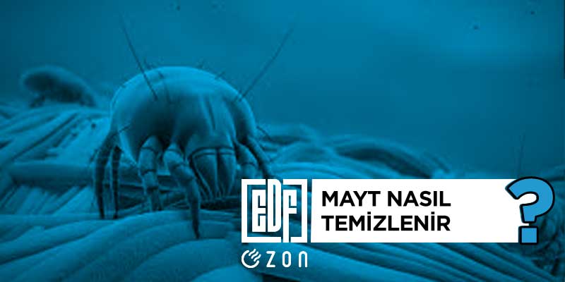 Mayt Nasıl Temizlenir?