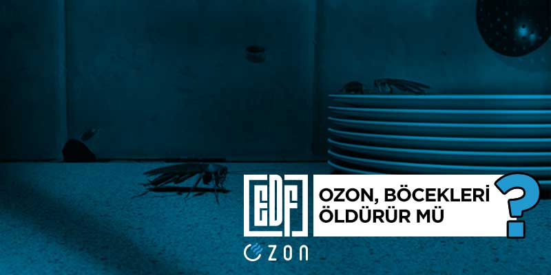 ozon jeneratörü, ozon jeneratörü, ozon jeneratörü fiyatları, ozon gazı, böcek temizliği, haşerat temizliği, ozonlama