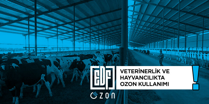 ozon jeneratörü, ozon jeneratörü, ozon jeneratörü fiyatları, ozon makinesi, veterinerlik, hayvancılık, dezenfeksiyon, ozonlama, hava temizliği, sterilizasyon