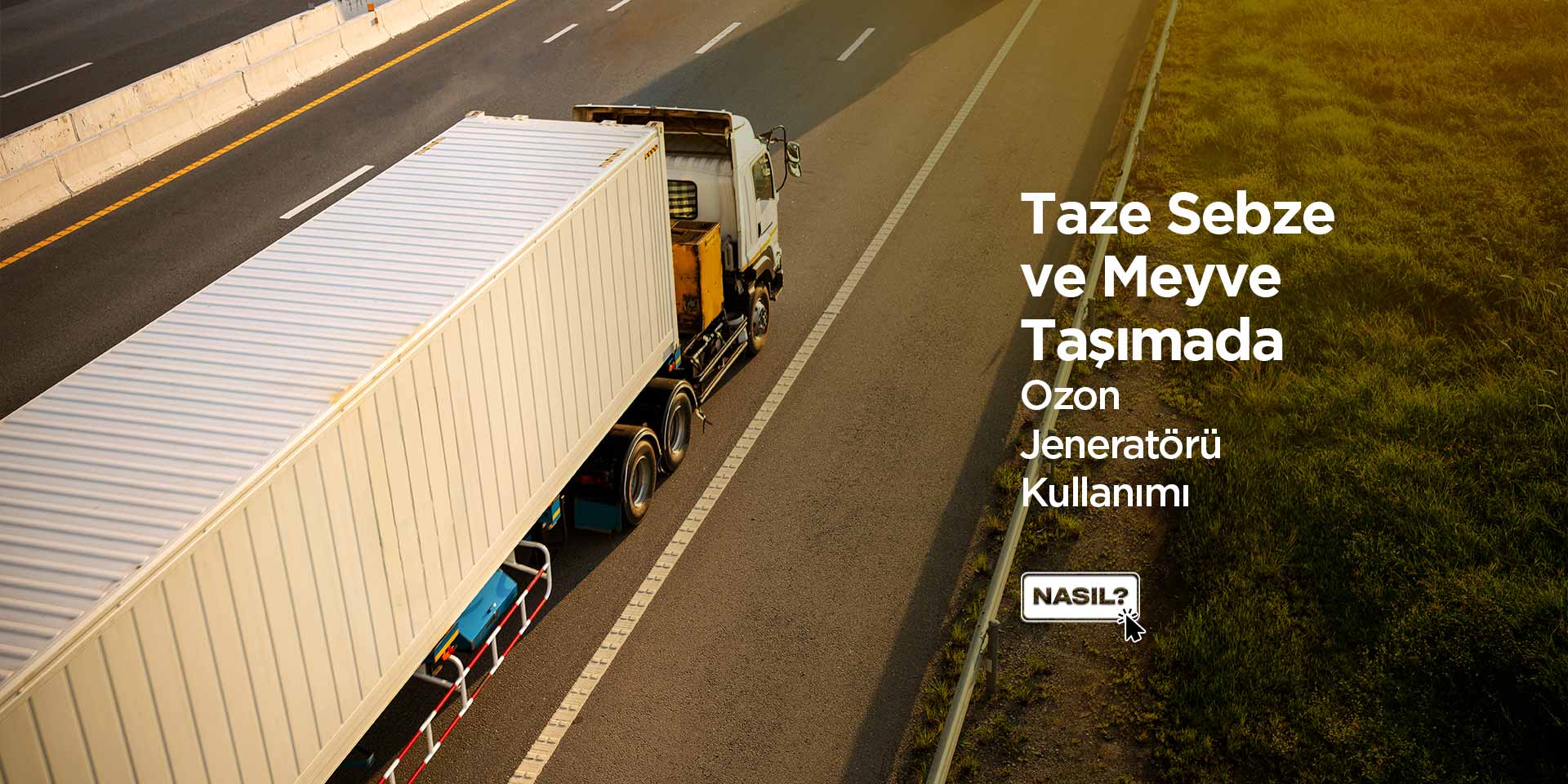 Ozon Jeneratörü - Taze Sebze ve Meyve Taşımada Ozon Gazı Kullanımı