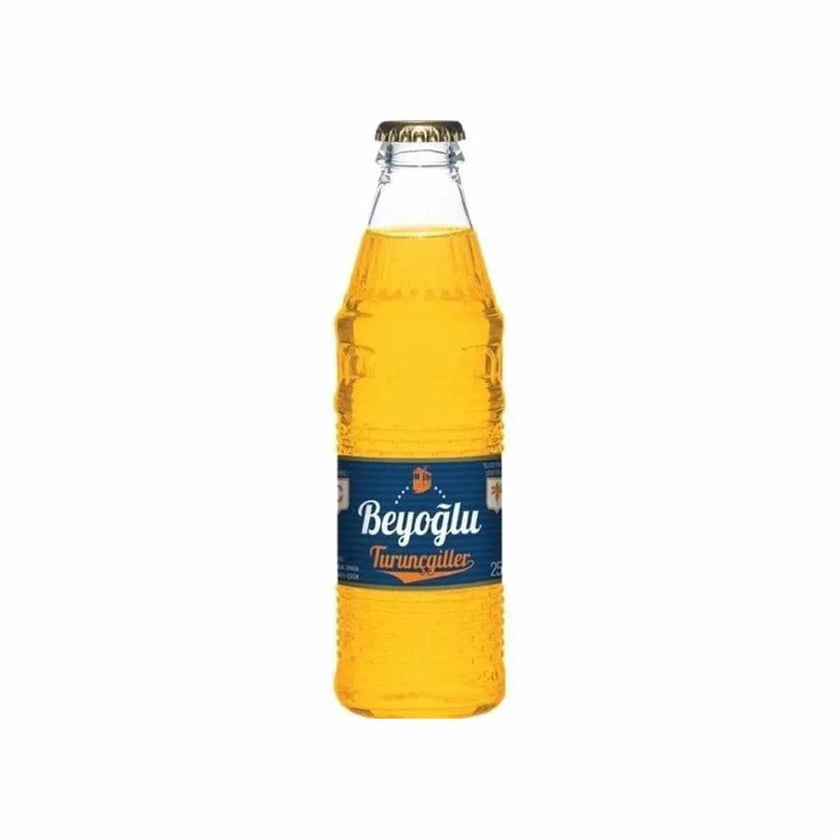 Beyoğlu Soda C Vitaminli Turuncu 250 ML5507798