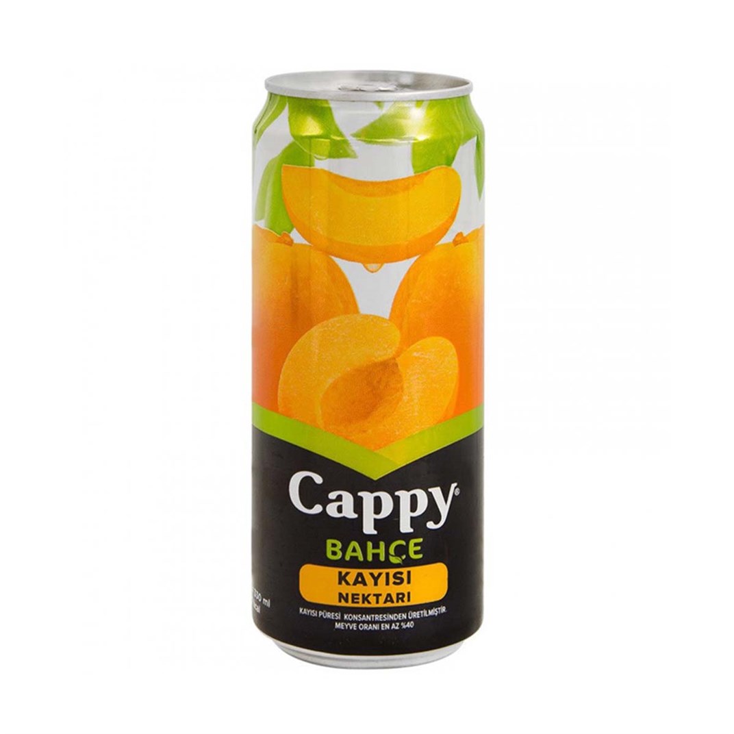 Cappy Kayısılı Meyve Suyu 330 ml5506354
