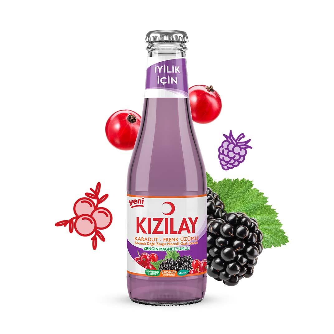 Kızılay Karadut Frenk Üzüm 200 ML5506485