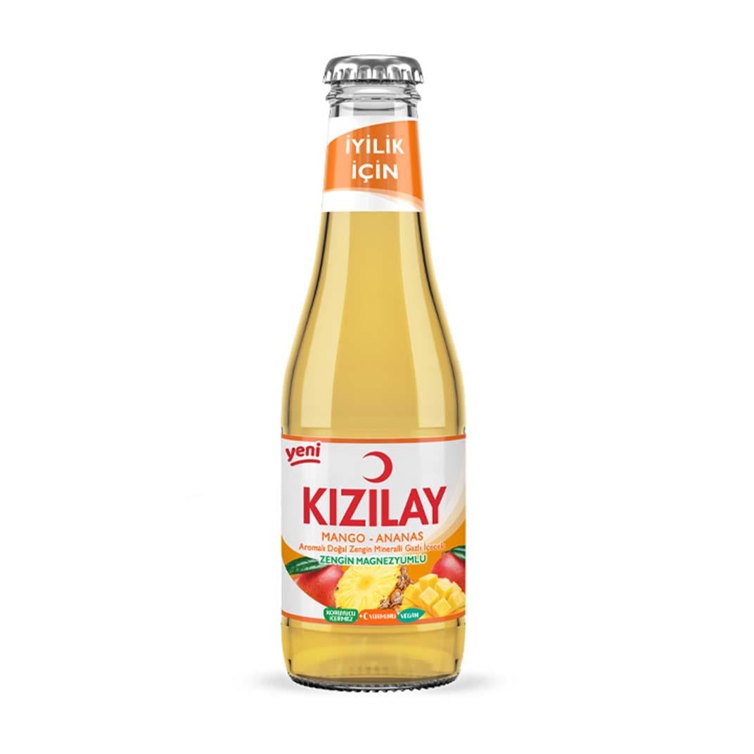 Kızılay Mango Ananas 200 ML5506491