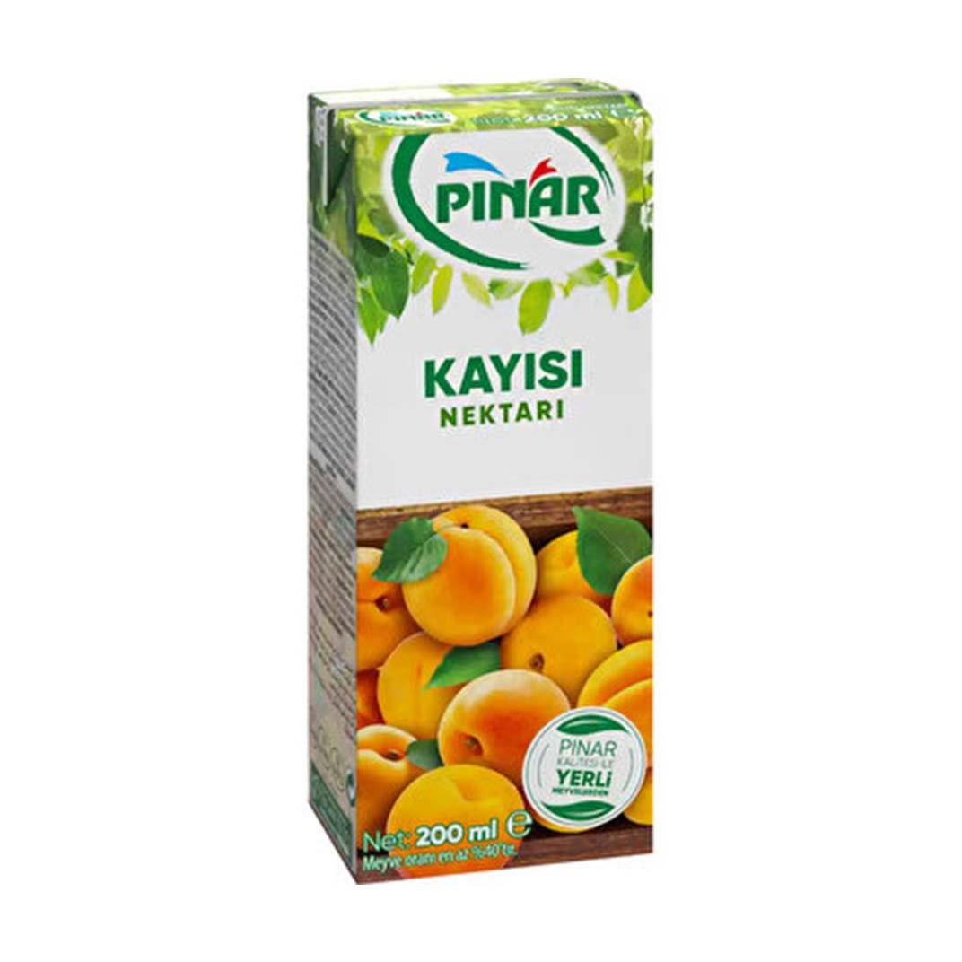 Pınar Meyve  Suyu Kayısı  200 ML5506497