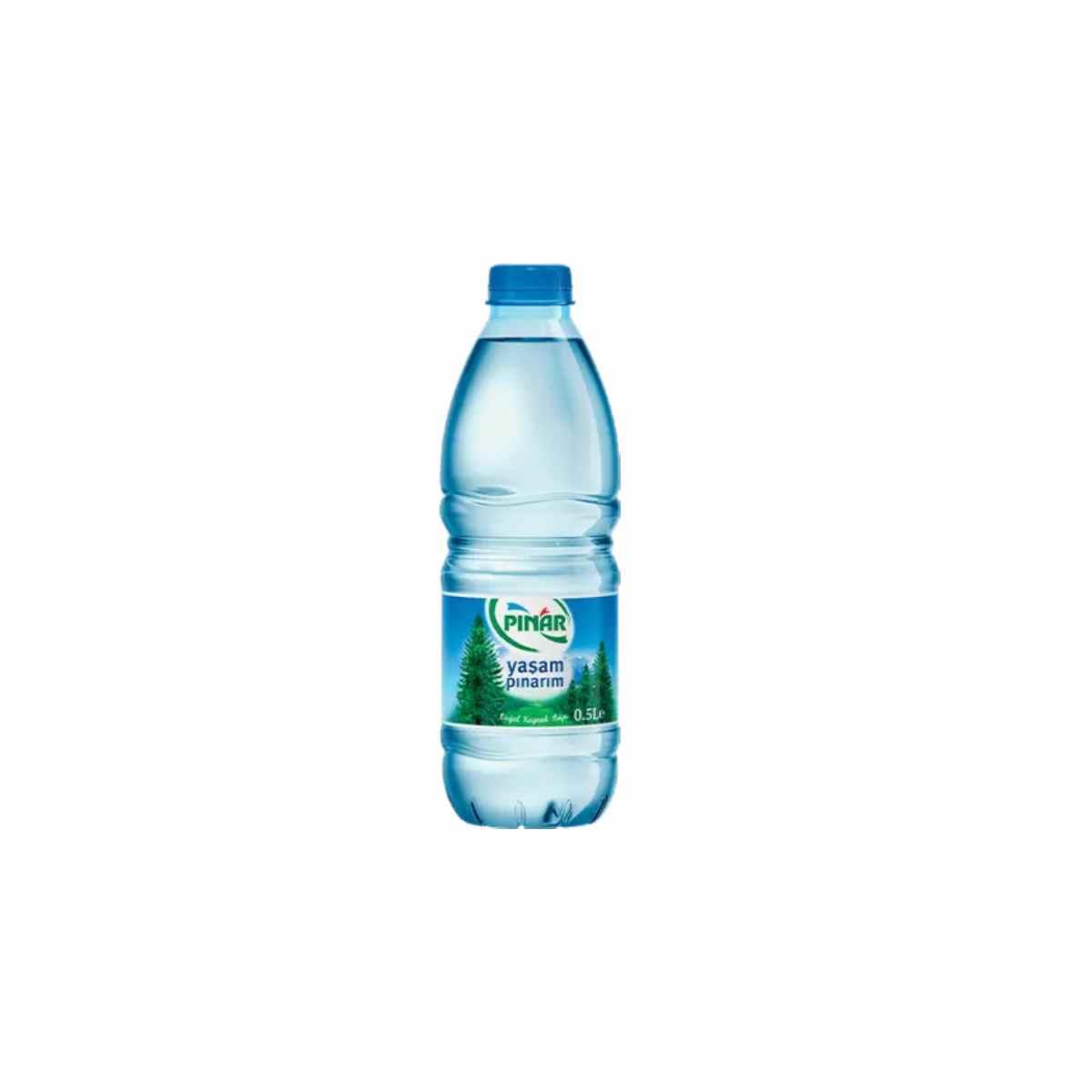 Pınar Su Uludağ 0,5 Lt5509911