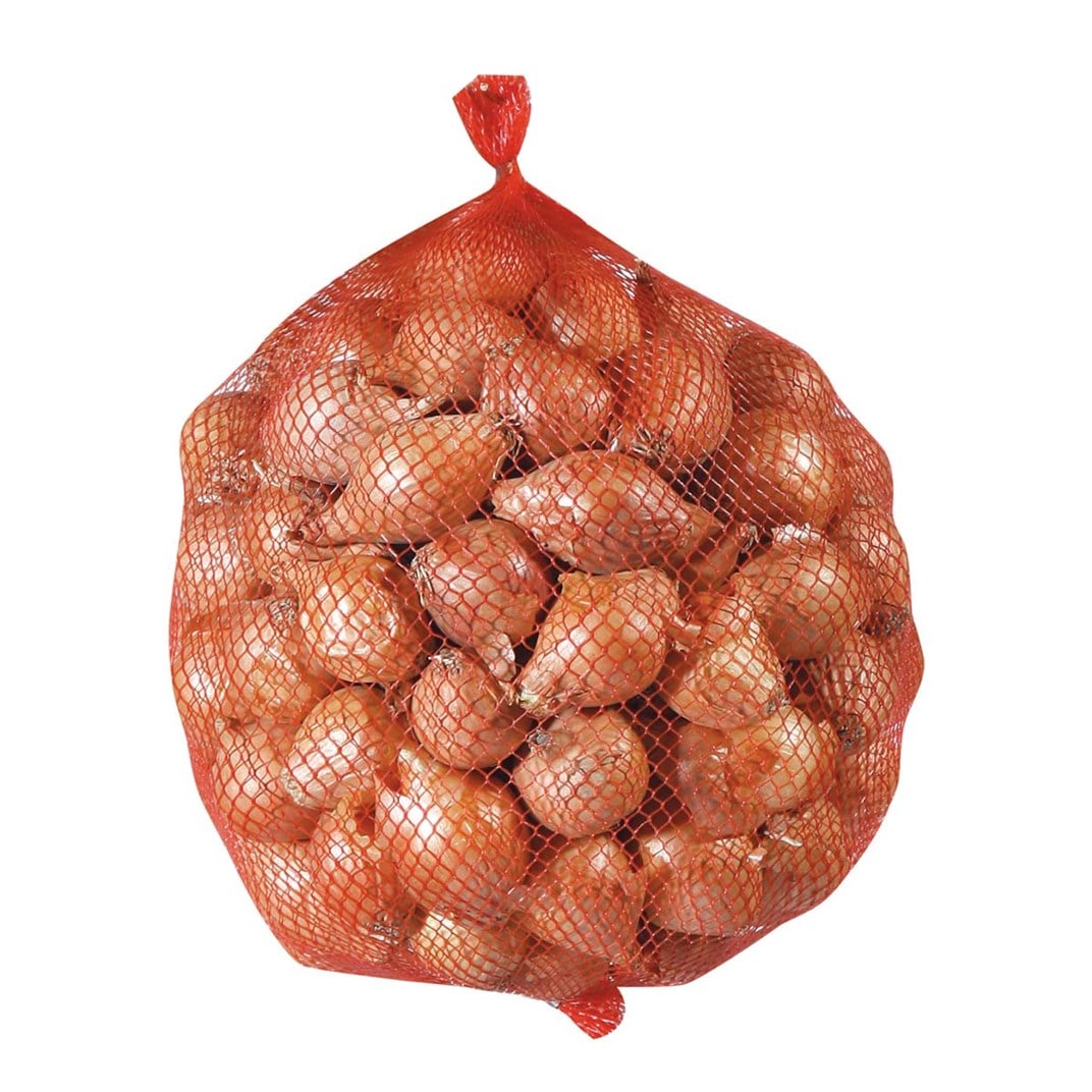 Soğan Sıska Paket5501114