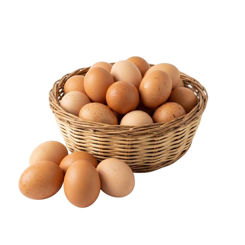 YUMURTA Köy (Günlük) Adet5504102