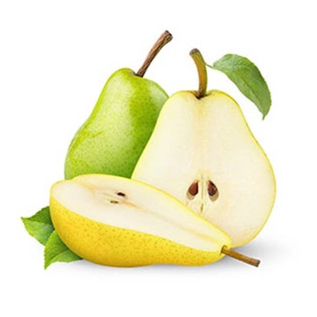 Armut Santa Kg5501004