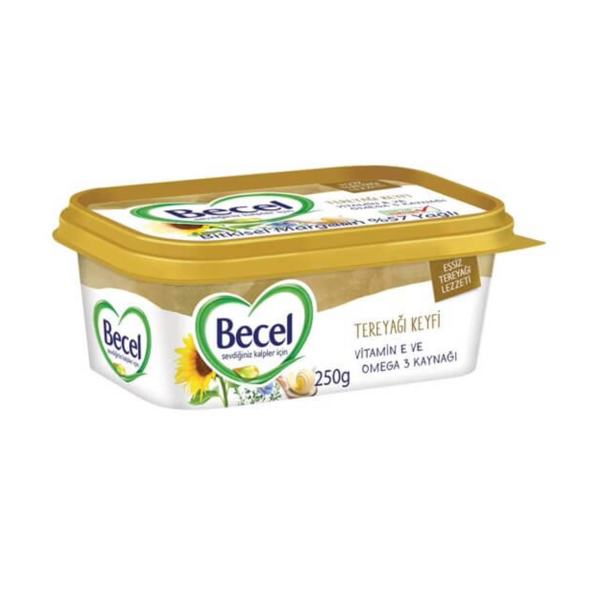 BECEL KASE TEREYAĞ KEYFİ 250 GR5503594