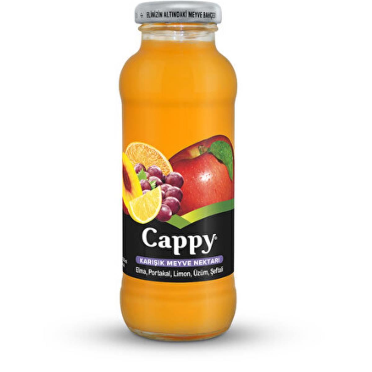 Cappy KArışık Meyve Nektarı 250 ML5506687