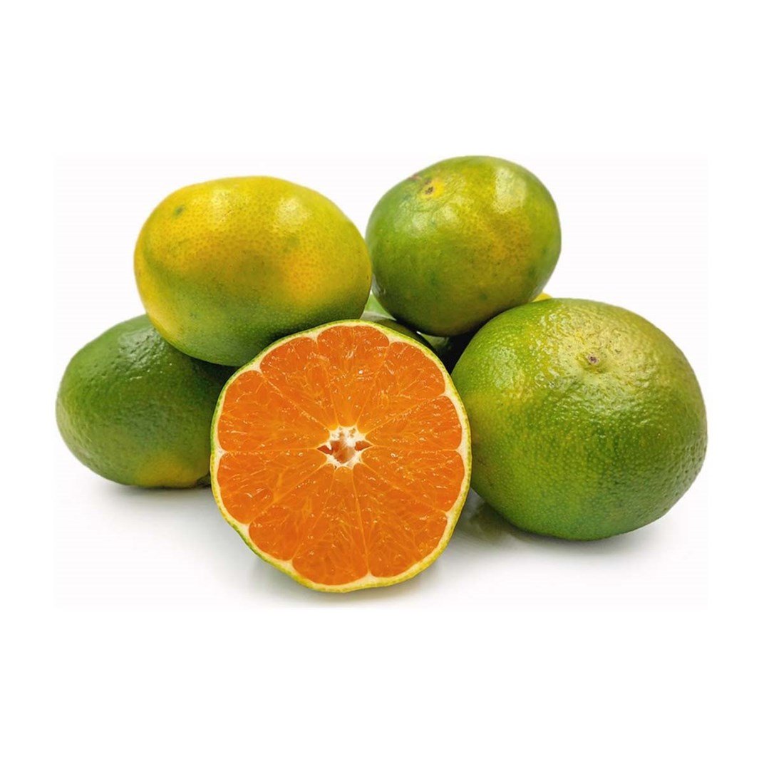 Mandalina Kg5501097
