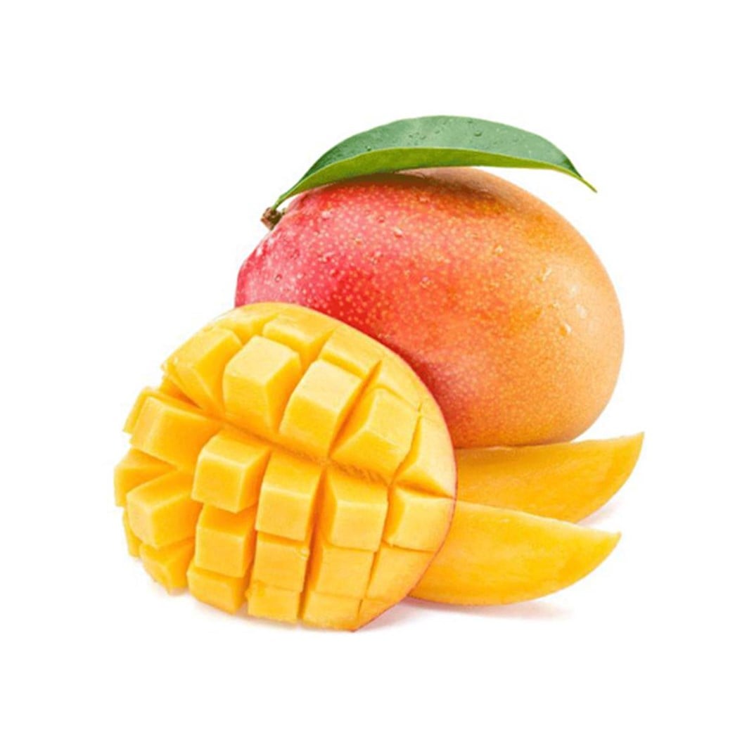 Mango Adet5501058