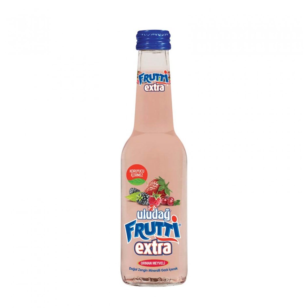 Uludağ Extra Orman Meyveli 250 Ml5506247